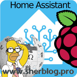 Instalación de Home Assistant en Raspberry