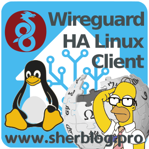 Configurar Wireguard de Home Assistant en cliente linux